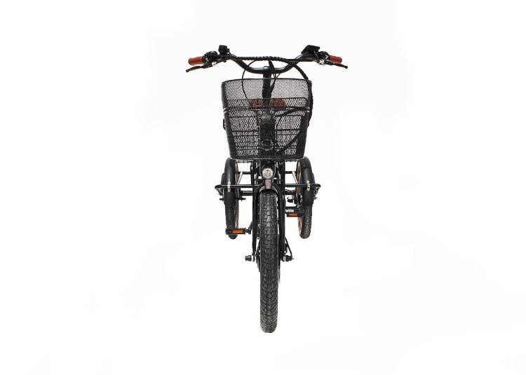 GEOBIKE-MFC_tricycle_ewingfold_3.jpg