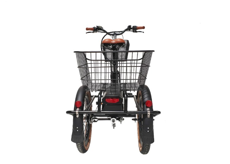 GEOBIKE-MFC_tricycle_ewingfold_4.jpg