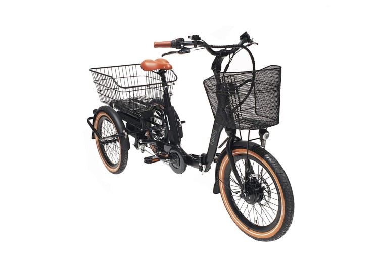 GEOBIKE-MFC_tricycle_ewingfold_1a.jpg
