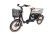GEOBIKE-MFC_tricycle_ewingfold_2a.jpg