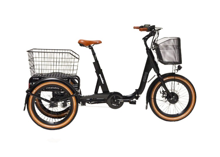 GEOBIKE-MFC_tricycle_ewing_1.jpg