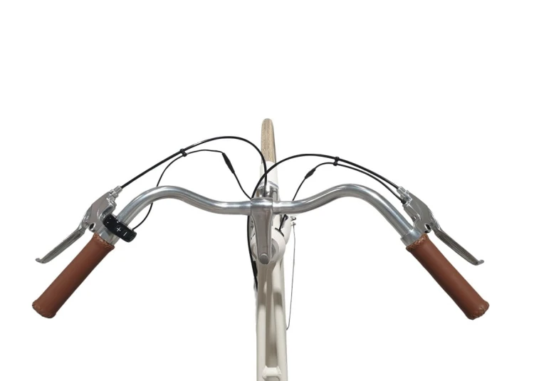 GEOBIKE-MFC_citybike_SedinaWhite_D2.jpg