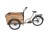 #cargo_ADEN_wood_2.jpg